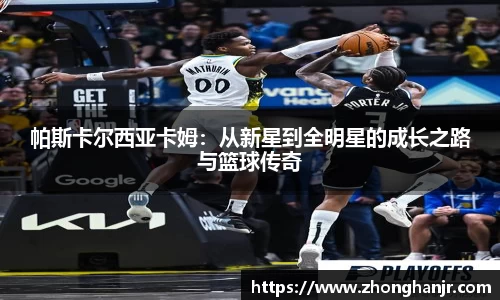 智博19