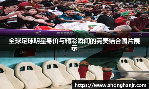 智博19有限公司